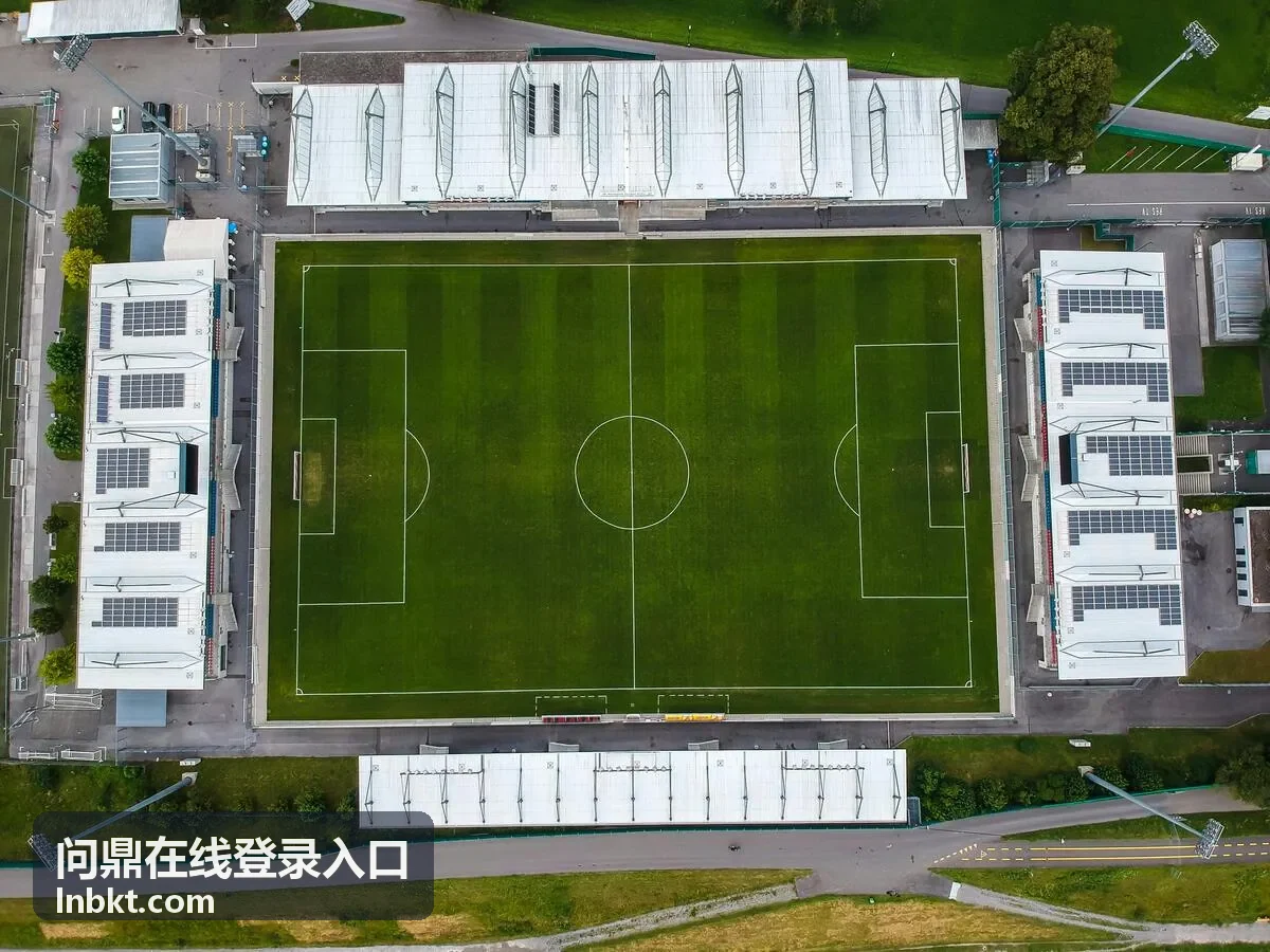 问鼎在线登录入口多终端使用场景